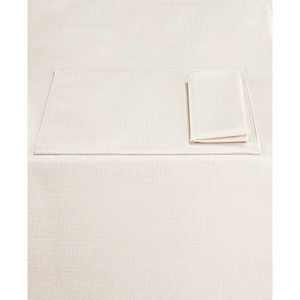 2 Pack Napkins